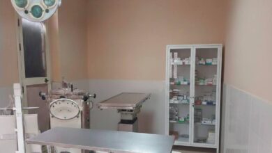 افتتاح العيادات البيطرية بجامعة الإسكندرية لتقديم خدمات طبية بيطرية متكاملة