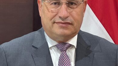 الأستاذ الدكتور عبد العزيز قنصوة وزيرًا للتعليم العالي والبحث العلمي