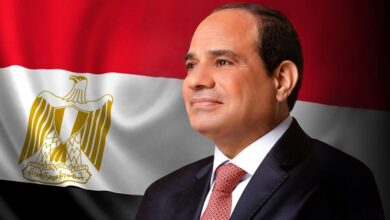 الرئيس السيسي اللجنة التوجيهية لرؤساء دول وحكومات النيباد تزامنت مع مرحلة مهمة من عمر الوكالة
