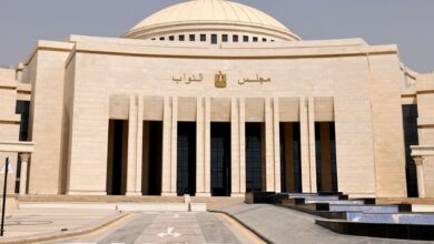 تحرك برلماني للاستعانة بالعلماء المصريين بالخارج