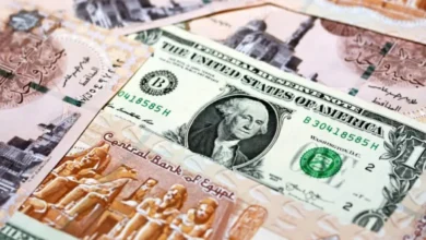سعر الدولار اليوم السبت 7-3-2026 مقابل الجنيه المصري في البنوك.
