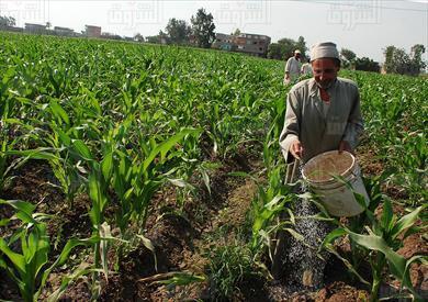 الزراعة تكثف الجولات الميدانية لضمان انتظام صرف الأسمدة المدعمة للفلاحين