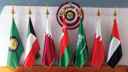 وزير الخارجية يؤكد تضامن مصر الكامل مع قطر ودول الخليج 