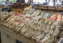 استقرت أسعار الأسماك والمأكولات البحرية خلال تعاملات اليوم السبت 7-3-2026