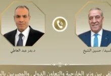 وزير الخارجية يبحث هاتفياً مع نائب الرئيس الفلسطيني تطورات الأوضاع