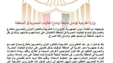 وزارة الخارجية تواصل متابعة أوضاع الجاليات المصرية في المنطقة