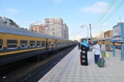 عودة حركة قطارات الإسكندرية لطبيعتها بعد رفع نخلة سقطت على القضبان