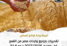 مصر:زيادة إنتاج محصول القمح عالي الجودة