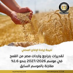مصر:زيادة إنتاج محصول القمح عالي الجودة