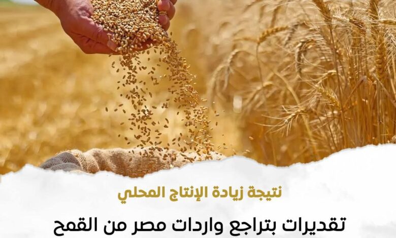مصر:زيادة إنتاج محصول القمح عالي الجودة