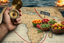 بين مطرقة الحرب وسندان "رأس الرجاء الصالح": هل تنجو الصادرات الزراعية المصرية