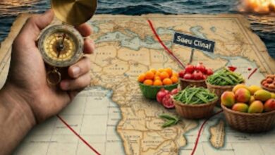 بين مطرقة الحرب وسندان "رأس الرجاء الصالح": هل تنجو الصادرات الزراعية المصرية