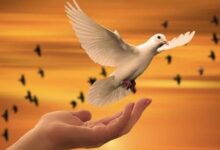 الخليج العربي شريان حياة