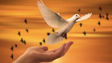 الخليج العربي شريان حياة