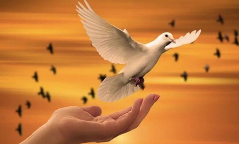 الخليج العربي شريان حياة