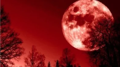 سكان الكرة الأرضية يستعدون لمشاهدة واحدة من أندر الظواهر الفلكية هذا العام