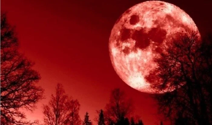 سكان الكرة الأرضية يستعدون لمشاهدة واحدة من أندر الظواهر الفلكية هذا العام