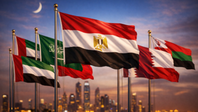 هل توترت العلاقات بين مصر والخليج في ظل تعقيدات السياسة الإقليمية؟