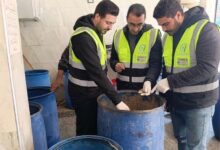 ضبط نصف طن فسيخ فاسد بالغربية