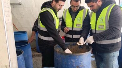 ضبط نصف طن فسيخ فاسد بالغربية