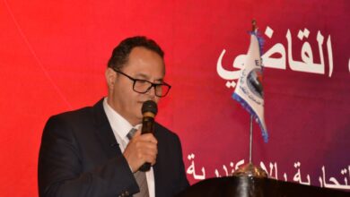 القاضي التطورات الجيوسياسية الحالية فرصة لتحويل مصر إلى مركز إقليمي