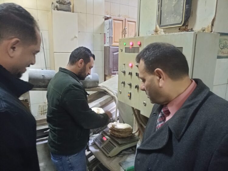 حملات مكثفة لتموين الإسكندرية لضبط  ورصد المخلفات بنطاق شرق ووسط