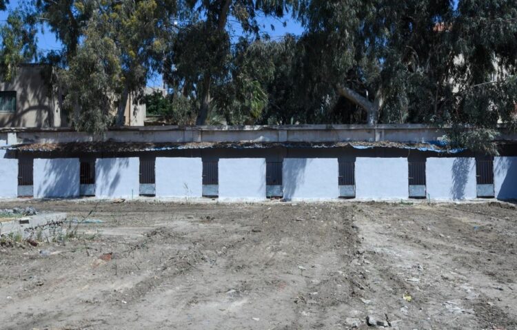 محافظ الإسكندرية يتفقد الأعمال النهائية لأول شلتر متكامل لإيواء الكلاب الضالة 